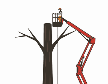 Кронирование деревьев