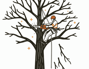 Омолаживающая обрезка деревьев