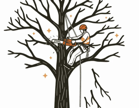 Омолаживающая обрезка деревьев