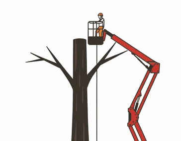 Кронирование деревьев